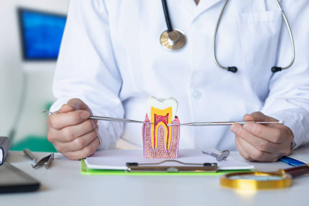 Best Chipped Tooth Repair Near Me  in Burnsville, NC